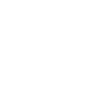 Icon phone